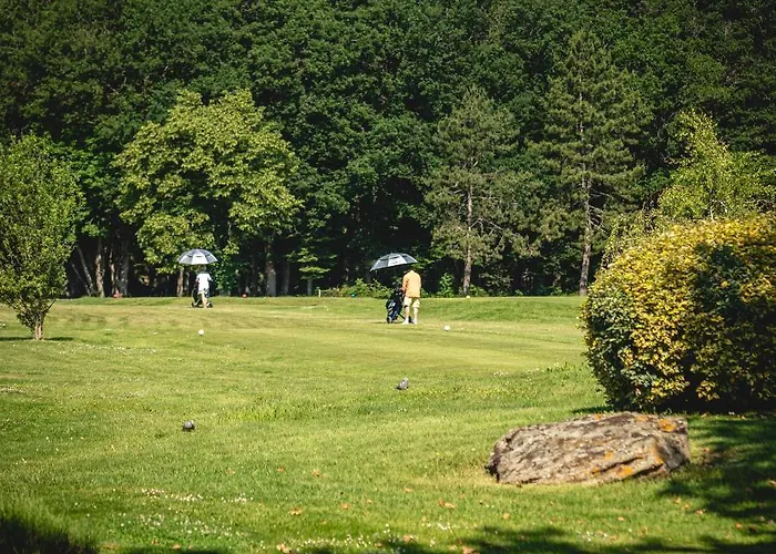 Domaine De 3* Roiffe