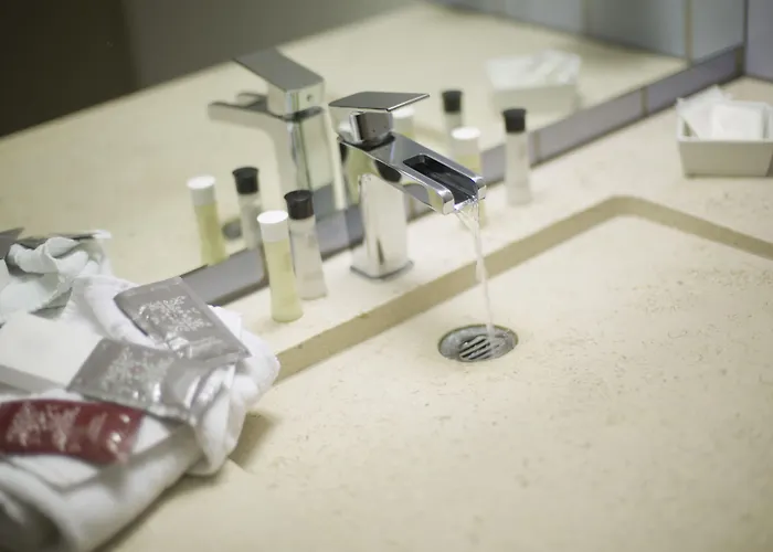 Domaine De Hotel Roiffe